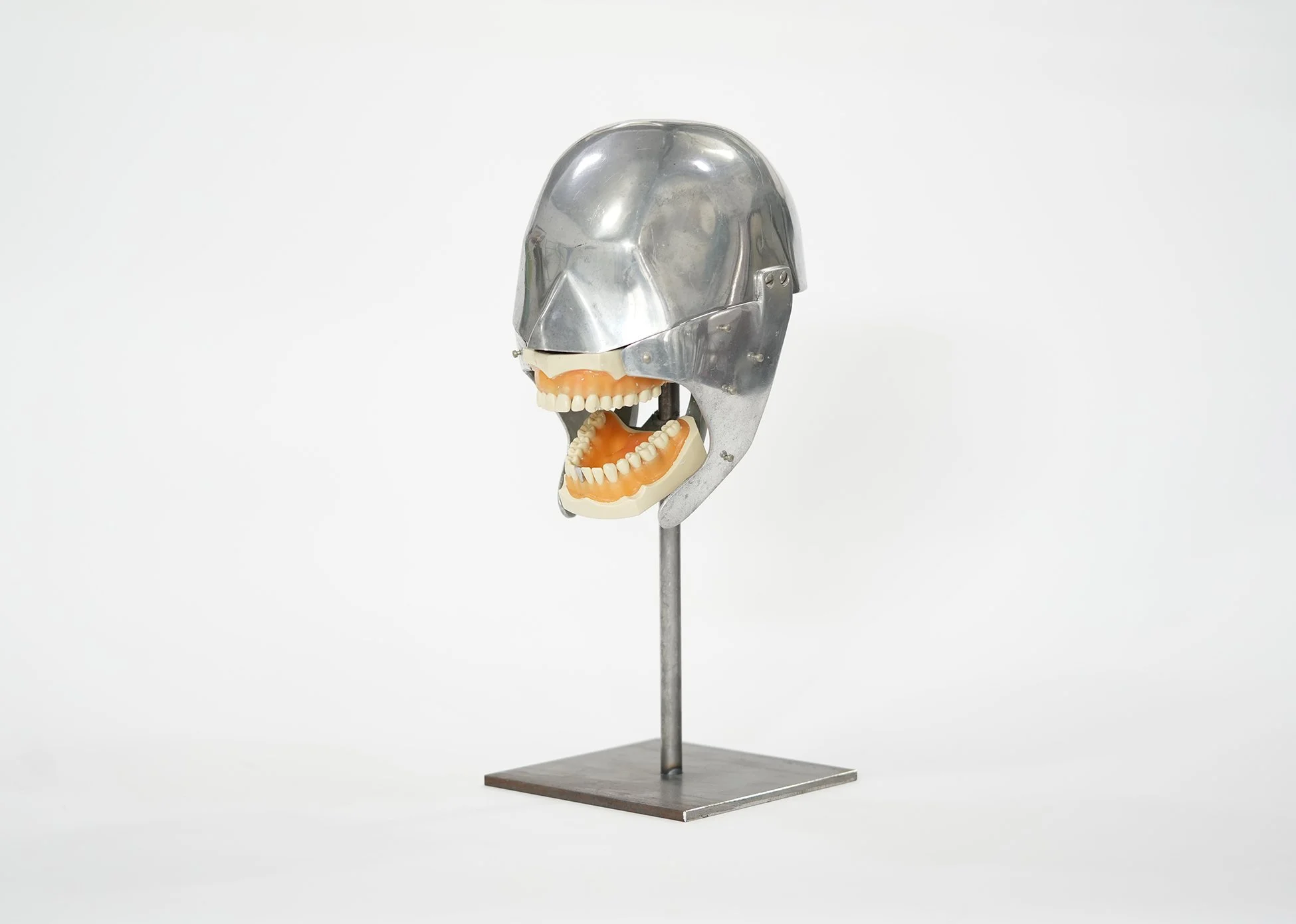 1950's Dental Phantom with Shroud Pins — AGENT GALLERY CHICAGO